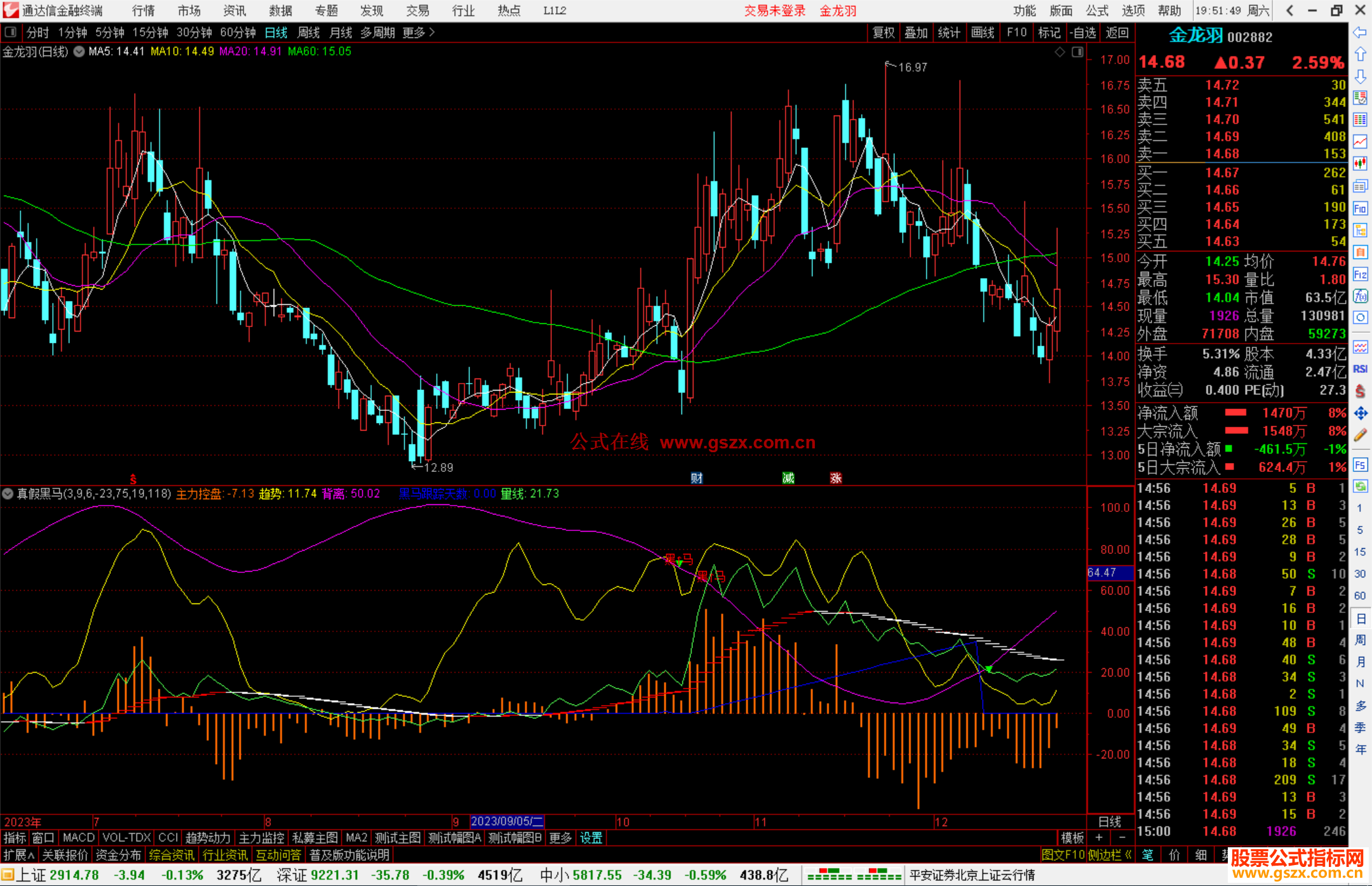 通达信真假黑马指标公式源副图