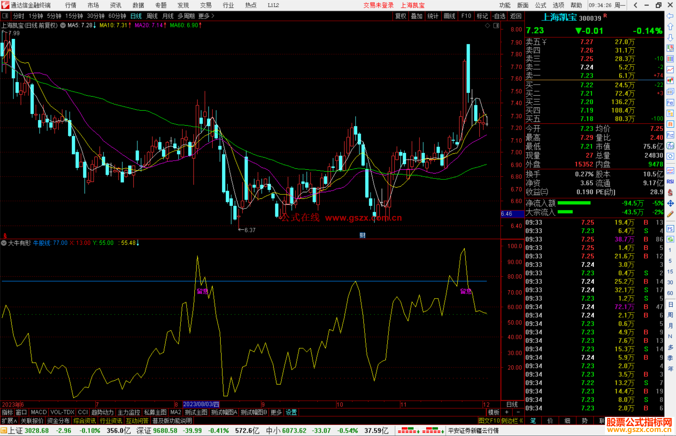 通达信大牛有形指标公式源码副图