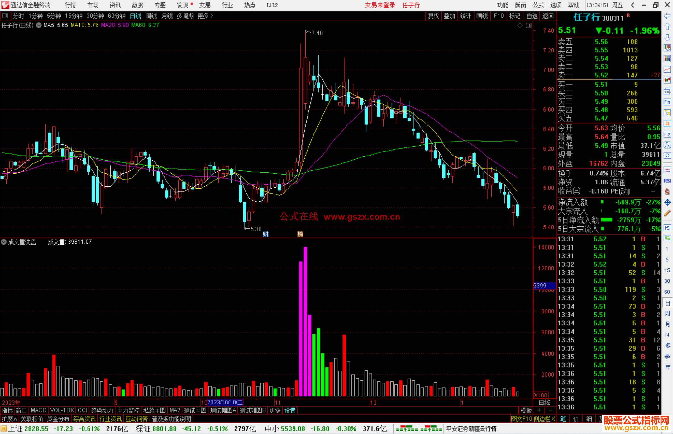 通达信成交量洗盘指标公式源码副图