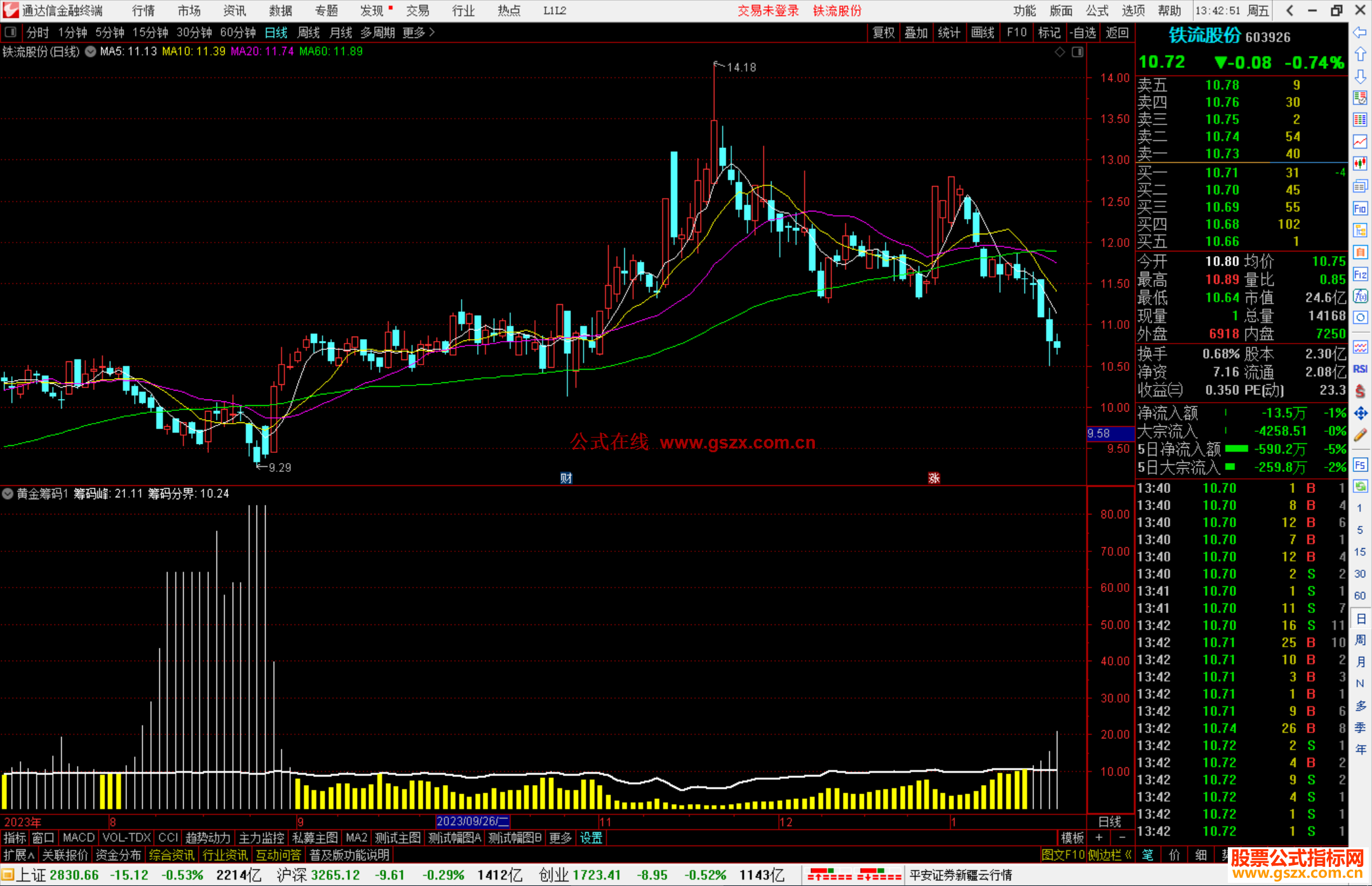 通达信黄金筹码指标公式源码副图