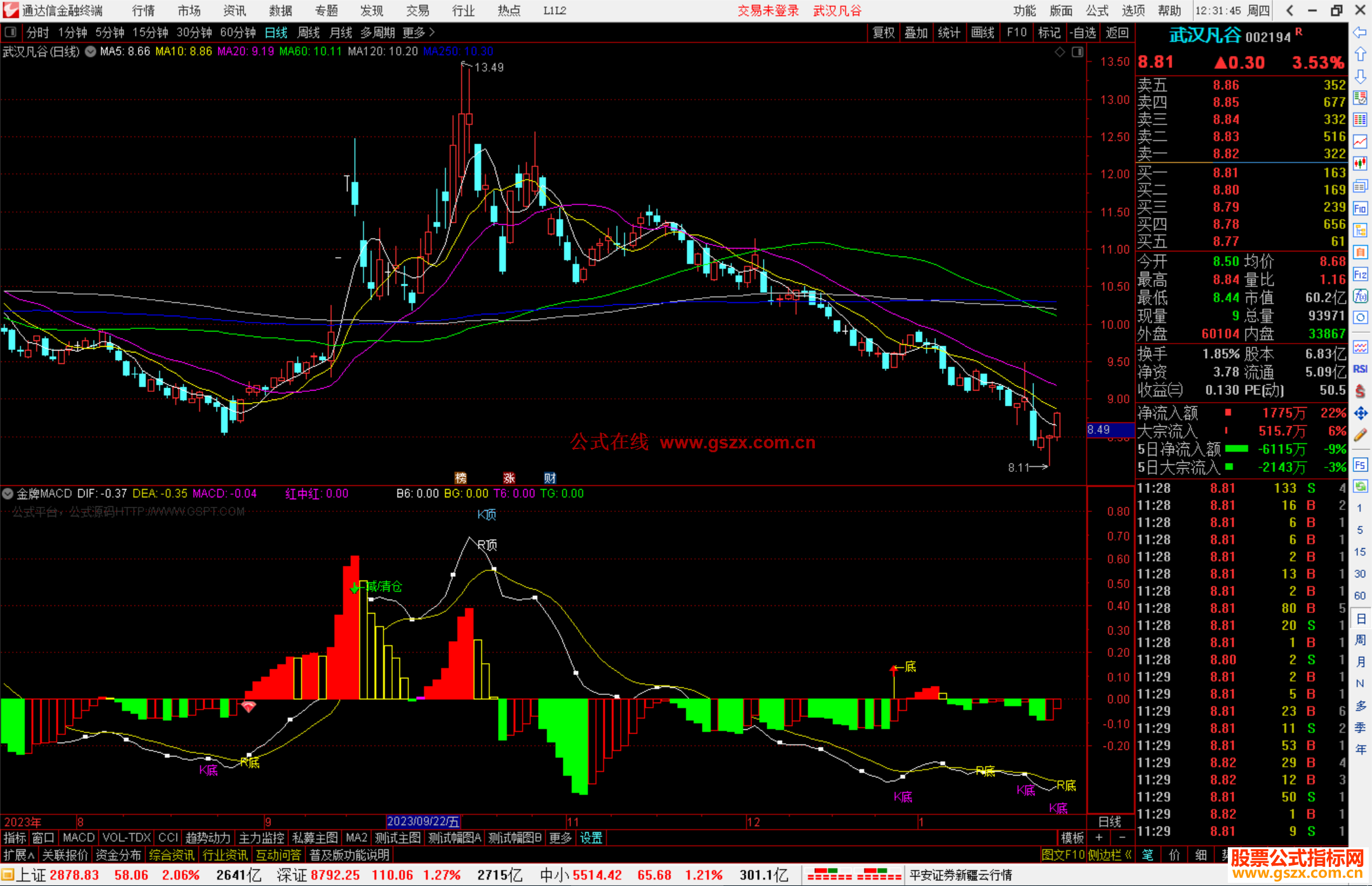 通达信金牌MACD副图提示顶底源码