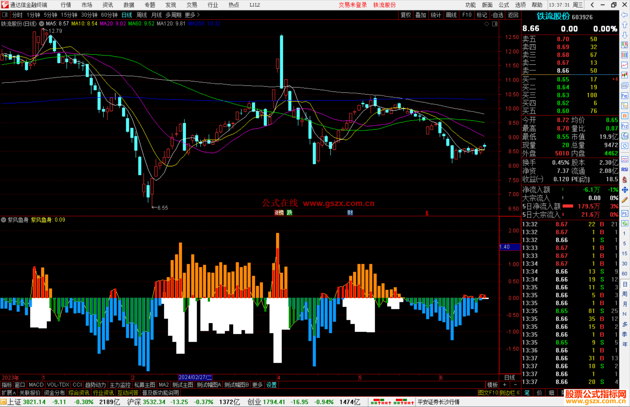 紫风鱼身副图，源码分享