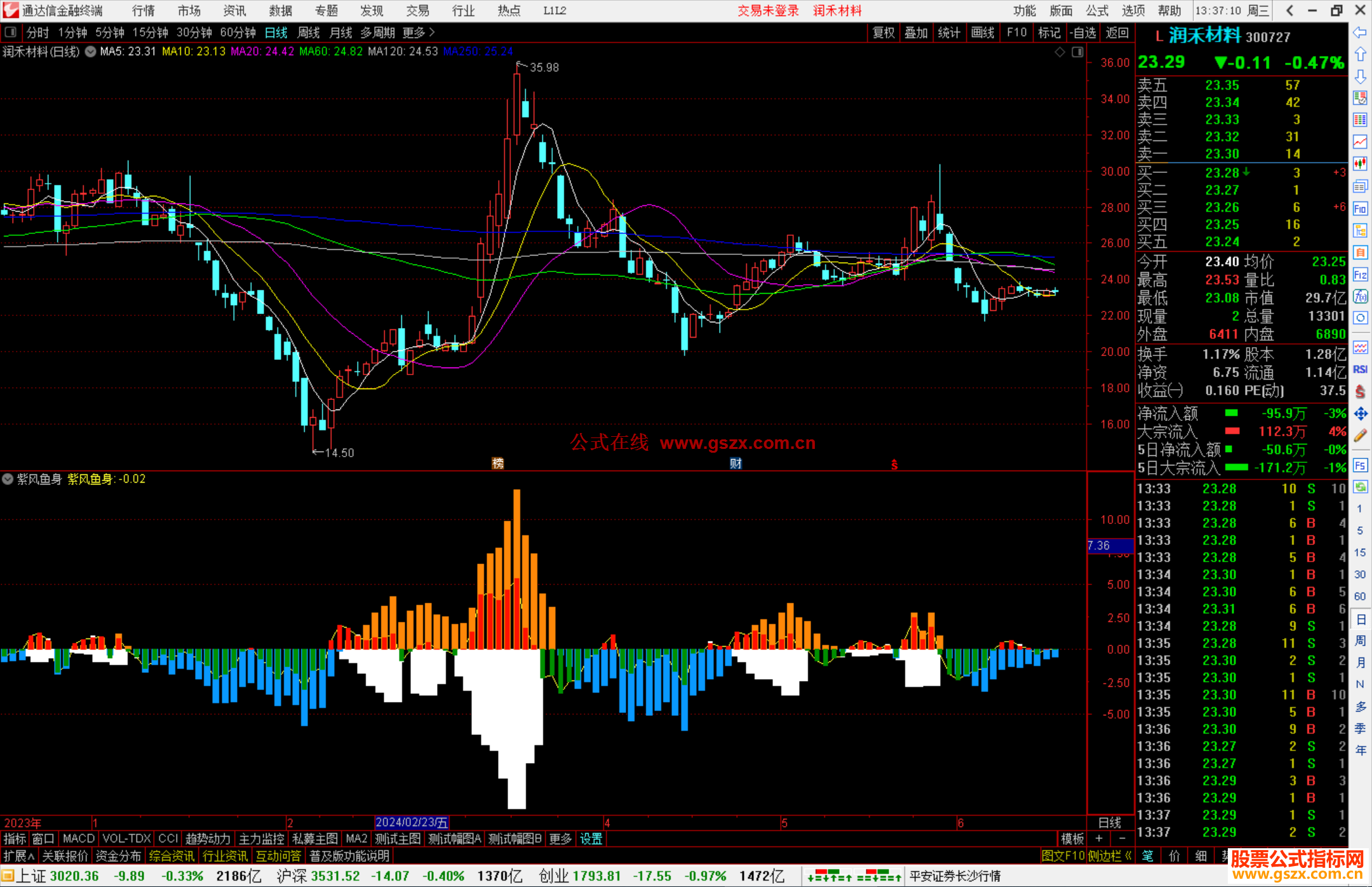 紫风鱼身副图，源码分享